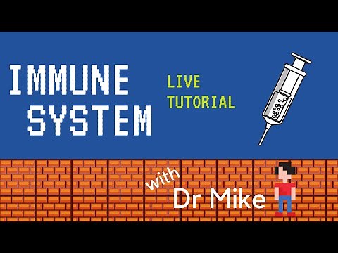 Immune System