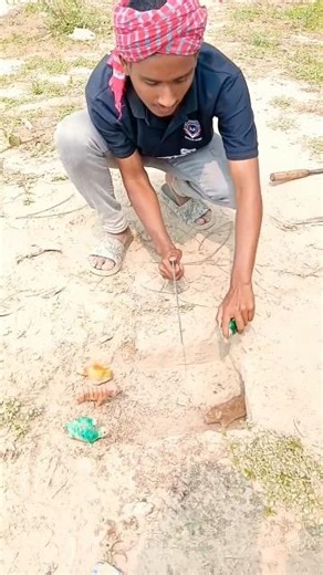 Paddy Field Pest & Rodent Control GuideRatControl #PestControl #RiceFarming #Agriculture #FarmLife