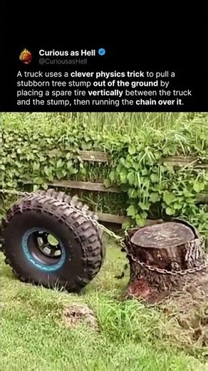 Tire Trick for Stump Removal 🚛
