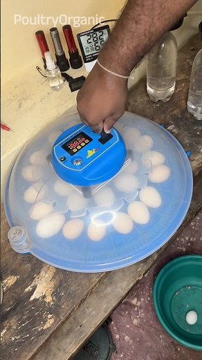 how to use 🥚 Egg Incubator ?