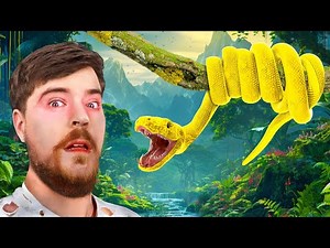 5 Most Dangerous Places MrBeast Survived