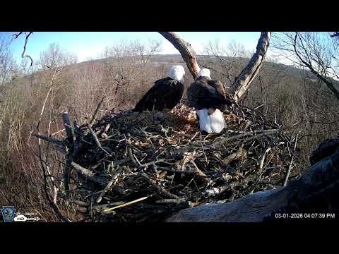 Hanover Eagles Live Cam HDOnTap — Mozilla Firefox 2026 03 01 15 59 36