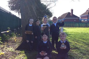 Local pupils help protect Walsall’s songbirds through Ruby Robin Award