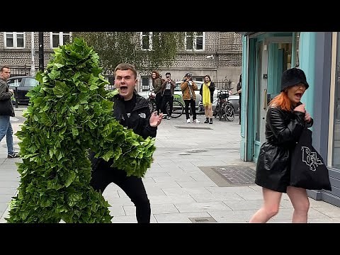 Everyone is Crying Laughing. Bushman Prank