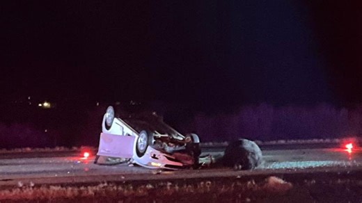 Two people transported to trauma center after car hits cow on freeway