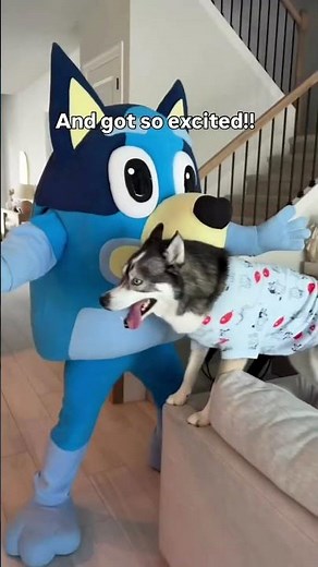 Dog Meets His Favorite Cartoon in Real Life! #shortsvideo