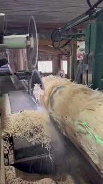 Wood Processing Factory Skills