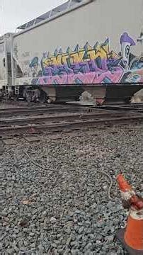 Northbound CSX Single Locomotive Local With Hopper Cars.