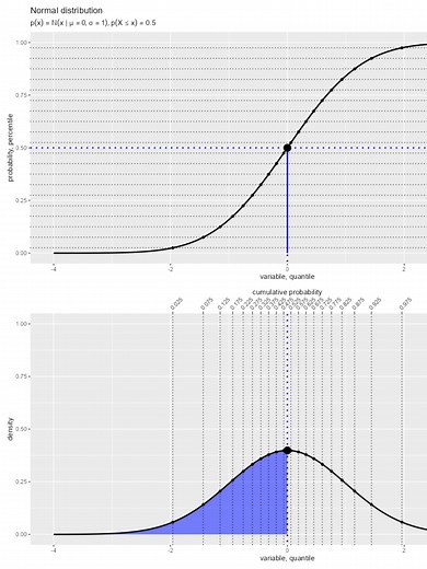 TikTokでしょこさんをチェック！