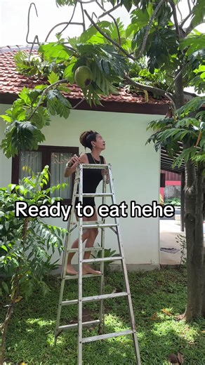 yayakamari1 (@yayakamari1)’s videos with Up & Down - Timmy Trumpet & Vengaboys