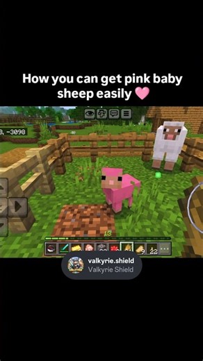 How to get a pink baby sheep in Minecraft easily 🩷 #minecraft #fyp #trending #explore #youtubegaming