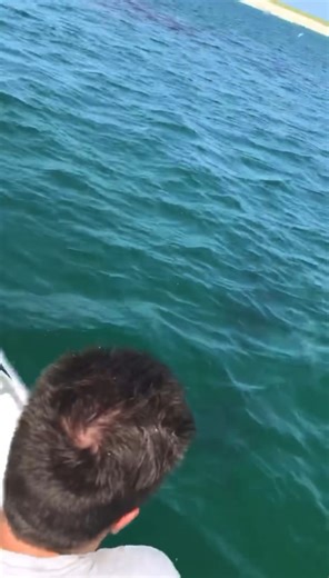 195K views · 1.5K reactions | Cape Cod, Massachusetts | Cape Cod, Massachusetts | Facebook