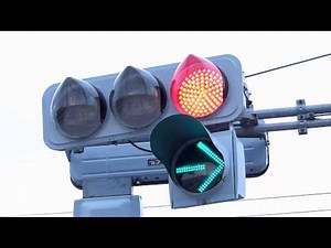 着雪防止ﾌｰﾄﾞ付き信号機! (VSP-1H33 2013 京三製作所)