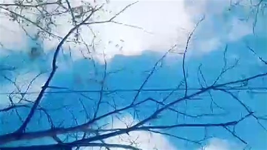 Видео 17 октября 2017 | OK.RU