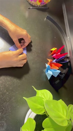 Swan Bird Swimming in Water 🦢 | Handmade Paper Swan | Floating Test#homemade #viral #swan #shorts