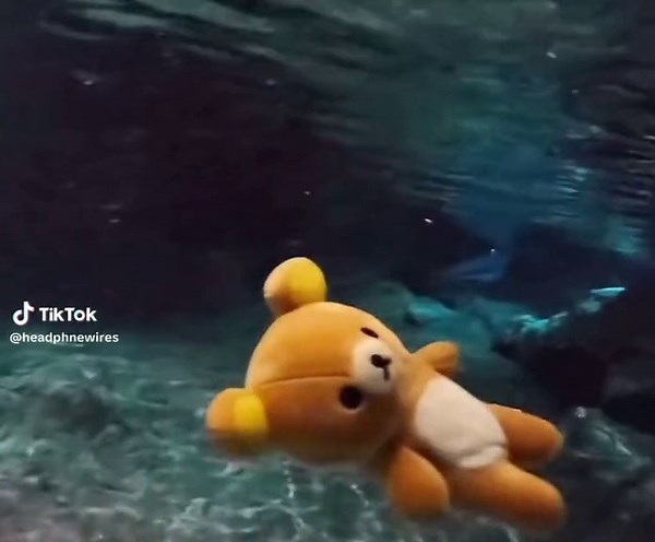 Rilakkuma Floating in Serene Underwater Scene