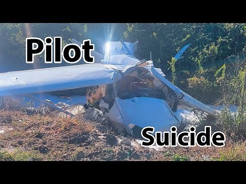 Pilot steals airplane and Kills himself - Career Track 655