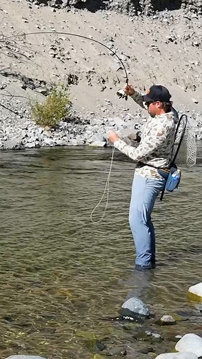 Ventures Fly Co on Instagram: "How are you supposed to the set the hook when fly fishing for trout? Unless you’re fishing with streamers, you’ll need to utilize the “trout set.” This is where you firmly and quickly lift the rod tip, while keeping your fly line tight. I like to always have my fly line held against the cork grip with one of my fingers, and all my slack line is below my reel. That way, I always have a tight line between me and my fly. When a fish eats my fly, I just squeeze the lin