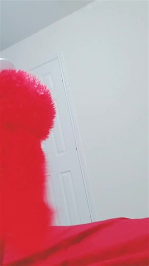 Elmo (@theofficialelmo13)’s videos with Dont throw kids plz - Y2CAE