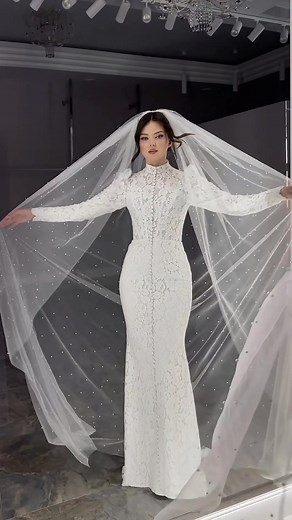 Elegant Wedding Dress Showcase with Sheer Veil Styling