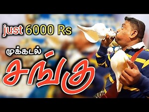 முக்கடல் வலம்புரி சங்கு |Divine sea shell | Original valampuri sangu sound