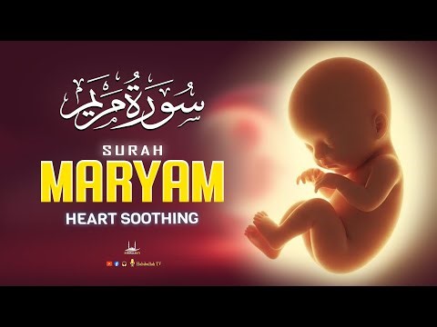 Healthy - Surah Maryam سورة مريم | Really Heart Soothing Recitation | Habibullah TV