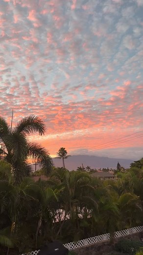 113 reactions | Something Beautiful  #maui #mauilife #mauiliving #mauivisit #mauitravel #mauihawaii | A Maui Blog | Facebook