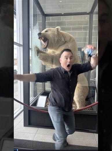 Bear Suddenly Roars at Shopper (This is Insane) #prank #scary #shorts
