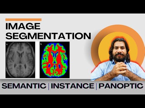 3 Types of Image Segmentation EXPLAINED! (Semantic, Instance, Panoptic)
