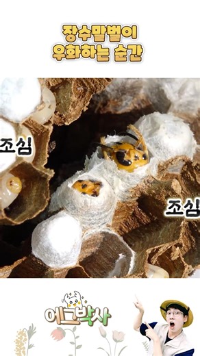 내가 도와줄게!
