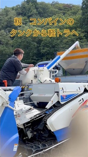 籾 コンバインのタンクから軽トラ🛻へ #現代農業 #農業 #コシヒカリ #コンバイン 2026年9月5日快晴