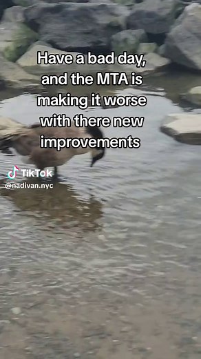 Navigating NYC's MTA: Struggles and Improvements