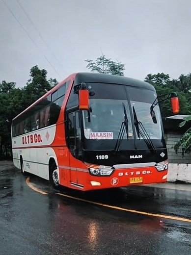 Exploring DLTB Co. Buses in Northern Samar