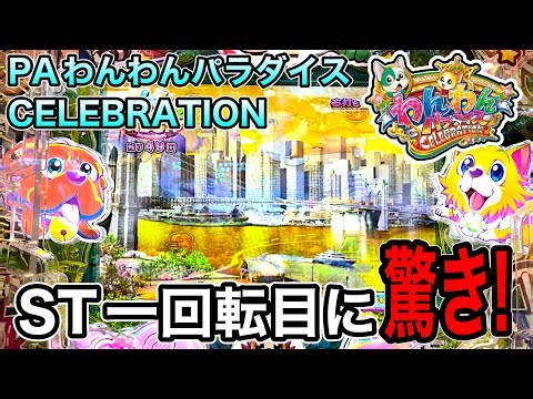 PAわんわんセレブレーションAGBD.実践動画‼️(ダルマ実践)