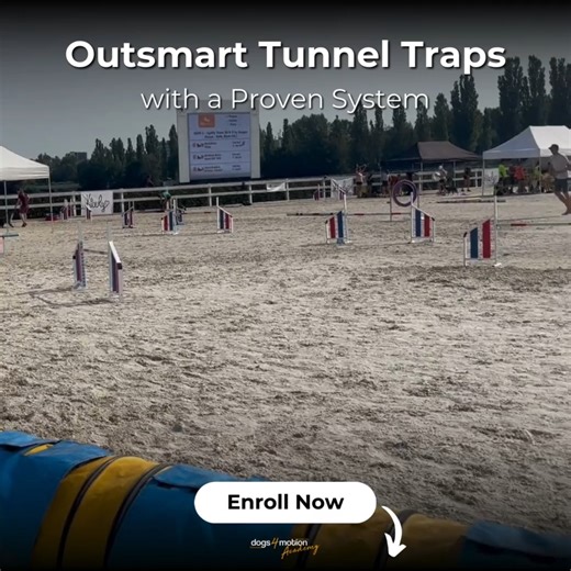 💥 Ready to boost your agility game? With Tunnel Vision, you’ll dive into Beata Luchowska's expertise on mastering every angle of the tunnel! 🚀 🔶 You'll learn precision techniques for confident tunnel entries, regardless of direction. 🔶 Discover speed and control exercises to ensure your dog exits tunnels with energy while staying responsive. 🔶 Navigate tunnel traps and challenges to avoid frustrating refusals and get through tricky obstacles smoothly. Perfect for agility lovers eager to enh