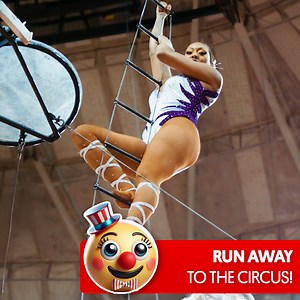 20K views · 156 reactions | Run away and join the circus, it's better than you think 邏 | Great Big Story | Facebook
