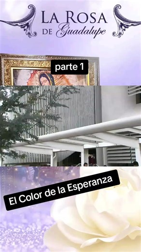 La Rosa de Guadalupe#larosadeguadalupe | el color de la esperanza la rosa de guadalupe
