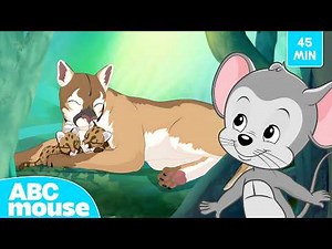 Everglades Adventure 🐢🌞 | ABCmouse Search and Explore for Kids | 45 Minutes of Learning Fun
