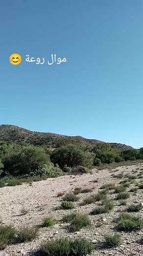 Exploring Semi-Arid Landscapes and Natural Beauty