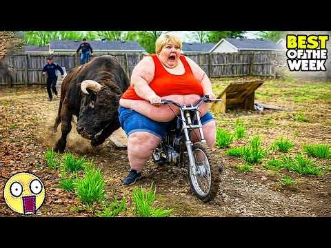 Try Not to Laugh Challenge #44 |🤣 Best Fails of the week