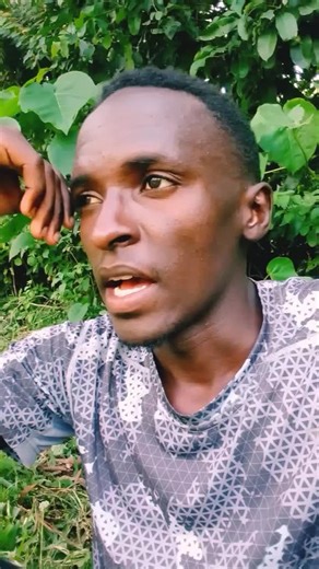 The Fascinating World of Male Mosquitoes