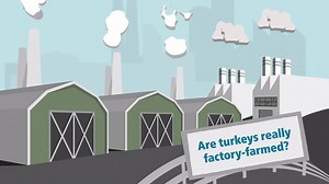 52K views | Farms aren't factories. Turkey farming is family farming, where generations enjoy rural life. Our turkeys are farm-raised, with smart technology and responsible stewardship of resources. Turkey: Good food from good beginnings℠ from AmericasTurkeyFarmers.org | Serve Turkey | Facebook