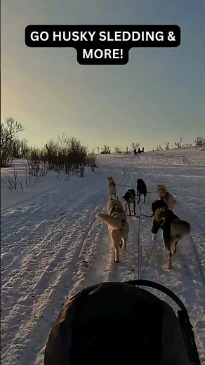 VISIT TROMSO In Winter!