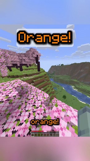 First To Find The Color Minecraft Challenge