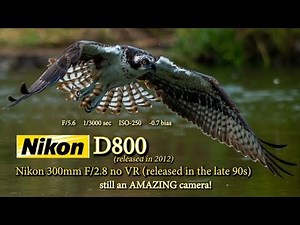 The old Nikon D800 - an amazing camera if you know what you are doing!