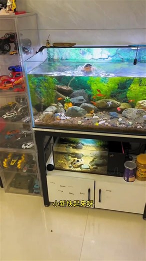 मम्मी ने चिंटू को टैंक में नहाते हुए पकड़ लिया l Carriage House wooden artist l #cartoon #shortvideo