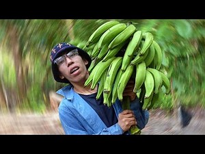 ASÍ ES UNA "CHACRA" EN LA SELVA PERUANA | Brayan CHUL