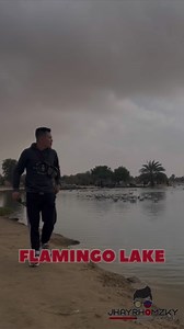 One of the best places in Dubai🇦🇪 Flamingo Lake | Jhayrhomzky Channel