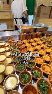 $3 Buffet in China This Sichuan-style buffet serves every dish in cute little bowls—so even if you're eating alone, you can still try everything. Today's menu had 9 hot dishes, 4 cold ones, plus rice, noodles, and dumplings. I had Mapo tofu, braised pork, and veggies. The best part is the menu changes daily, and nothing goes to waste. China, food, travel, chinafood, ChineseFood, buffet, streetfood, cheapEats, foodie, foodshorts, localEats, foodreview, viralfood, asianfood, dailyLifeChina, hidden