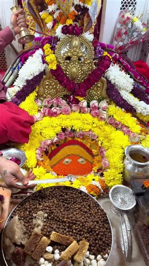 14 Dec Mata Chintpurni Live Darshan #shaktipeeth #chintpurni #livedarshan #ytshorts